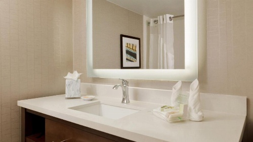 Holiday Inn San Antonio-Riverwalk image 13